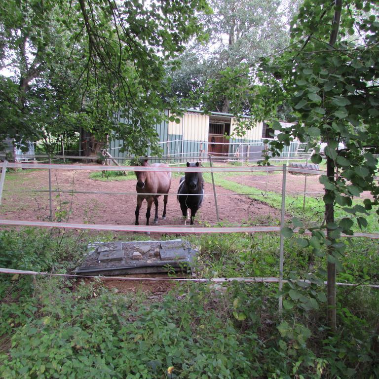 Ferienwohnung "Eifelstueffje" Mechernich Oda fotoğraf